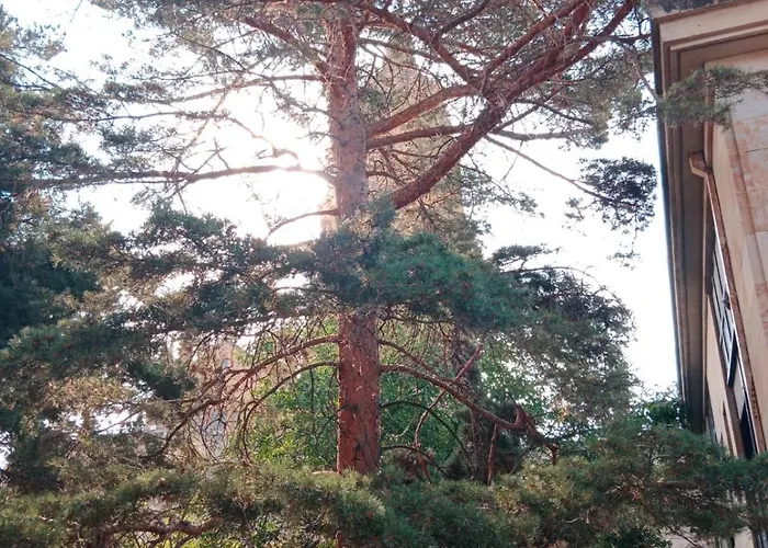 Living Libreros Salamanca